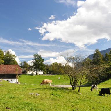 Stellungnahme des SGV zur «Kohärenten Raumentwicklung 2024-2031»