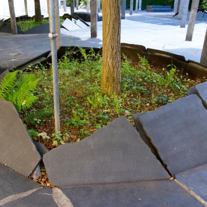 Eine Anleitung für mehr Biodiversität im Siedlungsgebiet