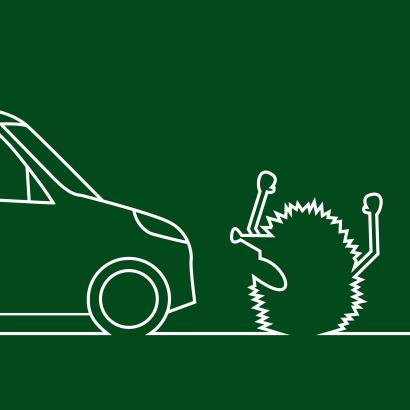Attention hérissons ! Affiches gratuites pour les communes