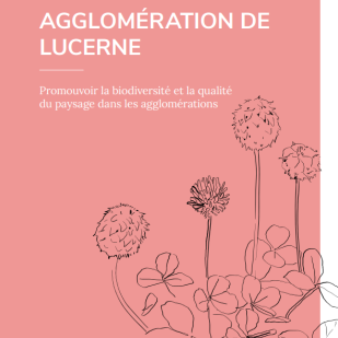 Cargo sous terrain: un progetto ambizioso con ingenti effetti sui comuni