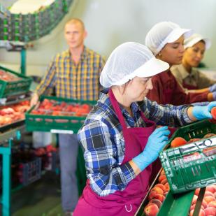 Encourager les bénéficiaires du statut S à exercer une activité lucrative