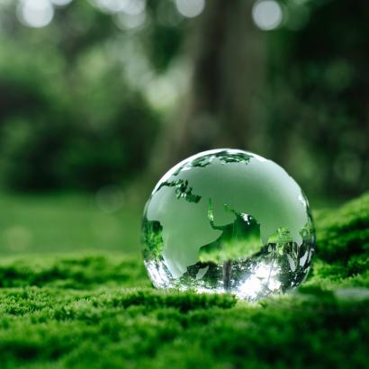 État des lieux de la mise en œuvre de l'Agenda 2030 pour le développement durable